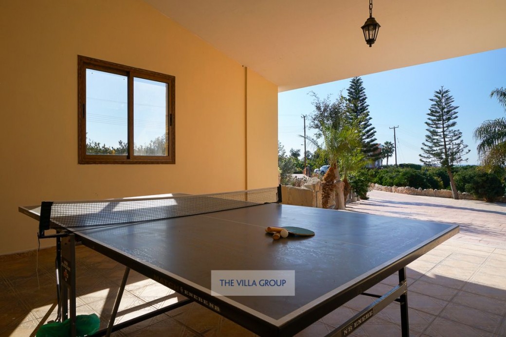 Table tennis table for the energetic members of a group
