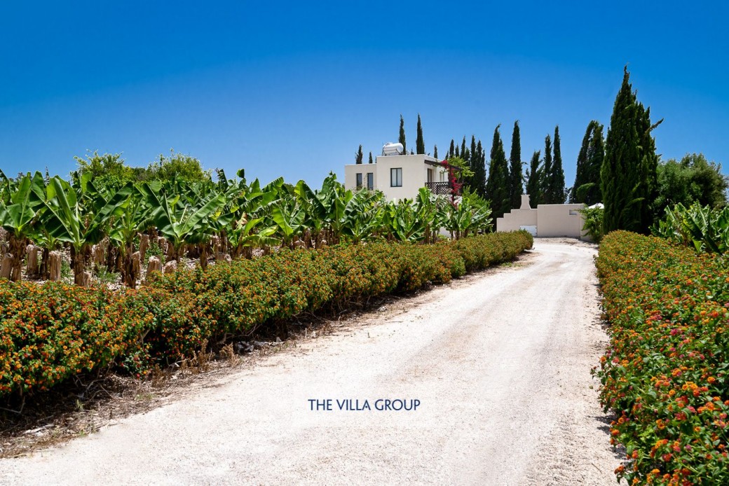 Driveway leading to the villa
