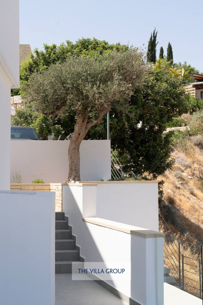 Steps leading down outside area