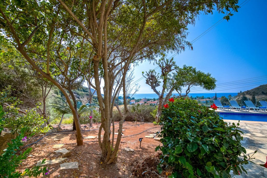 Adjacent garden area with various trees and plants including a lemon tree