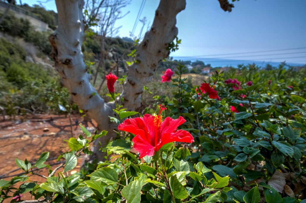 Villa 638338, Pissouri