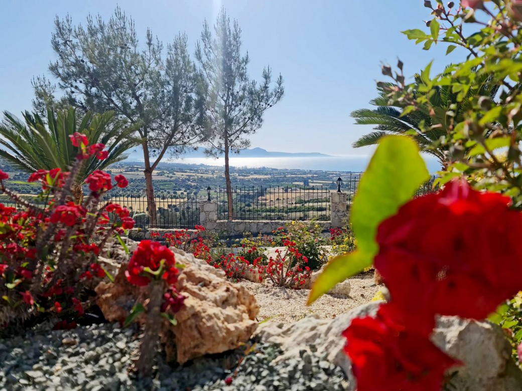 Mature gardens