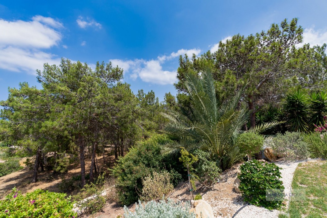Private and secluded location as the last property before the unique and fragile wilderness of the Akamas peninsula