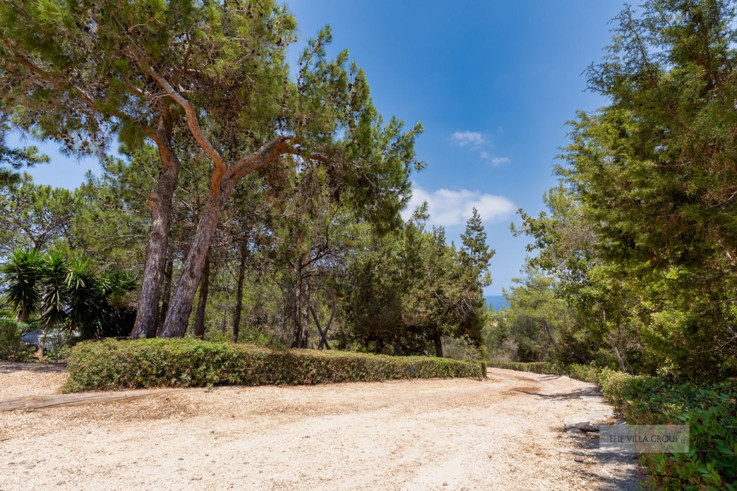 Driveway leading to the villa