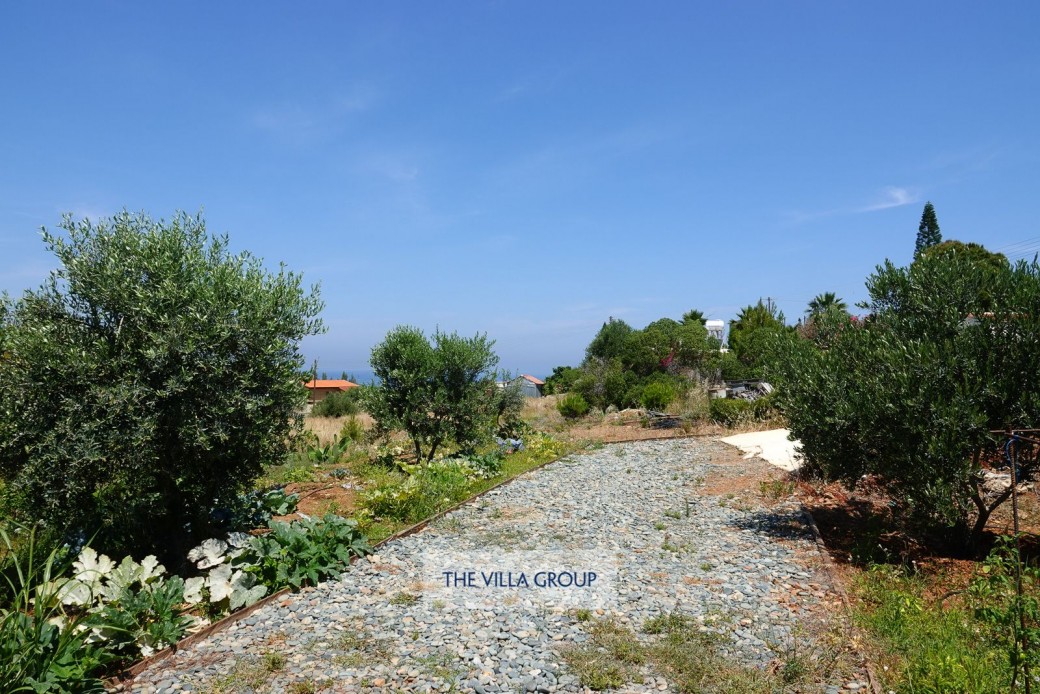 Steps lead down to the garden which has a vegetable garden and a small orchard