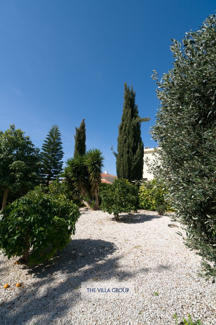 Fruit orchard
