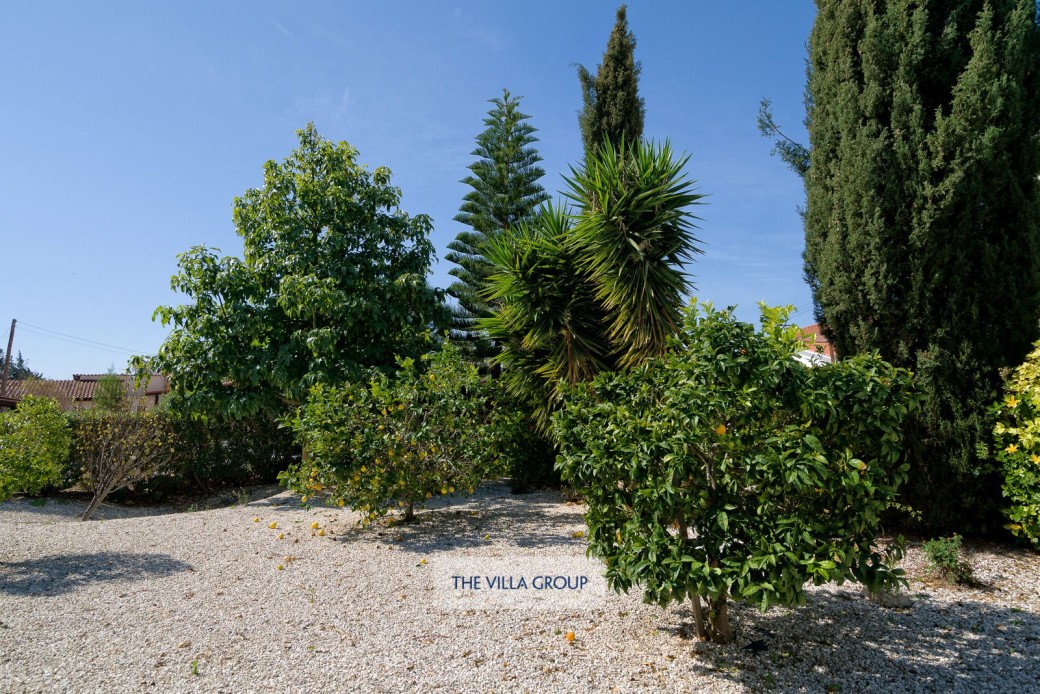 Fruit orchard