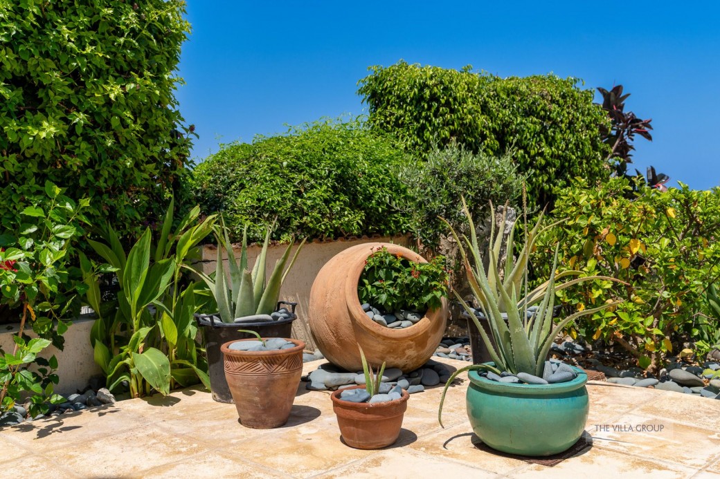 Established garden with plenty of flowers to admire