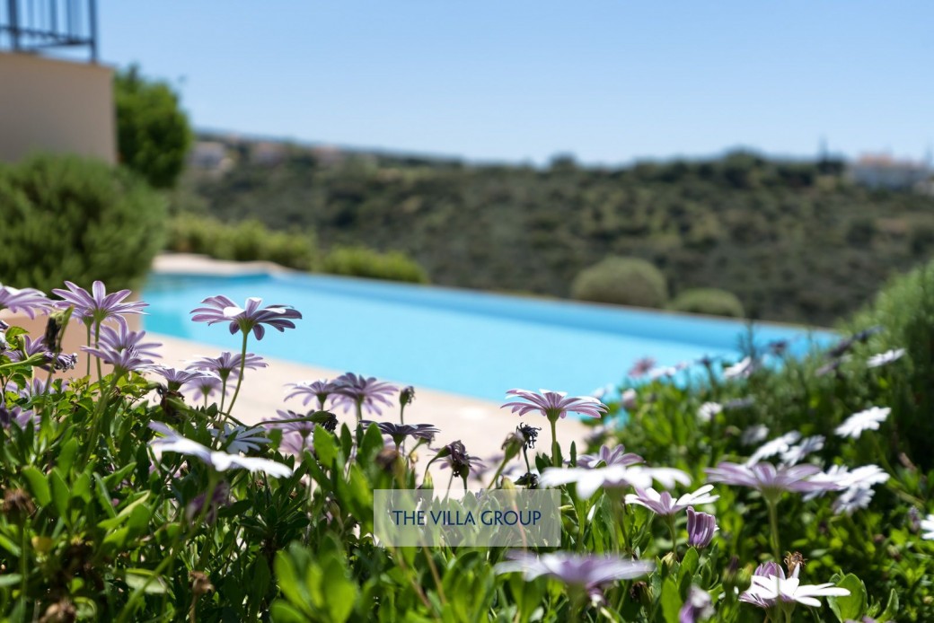 Landscaped gardens