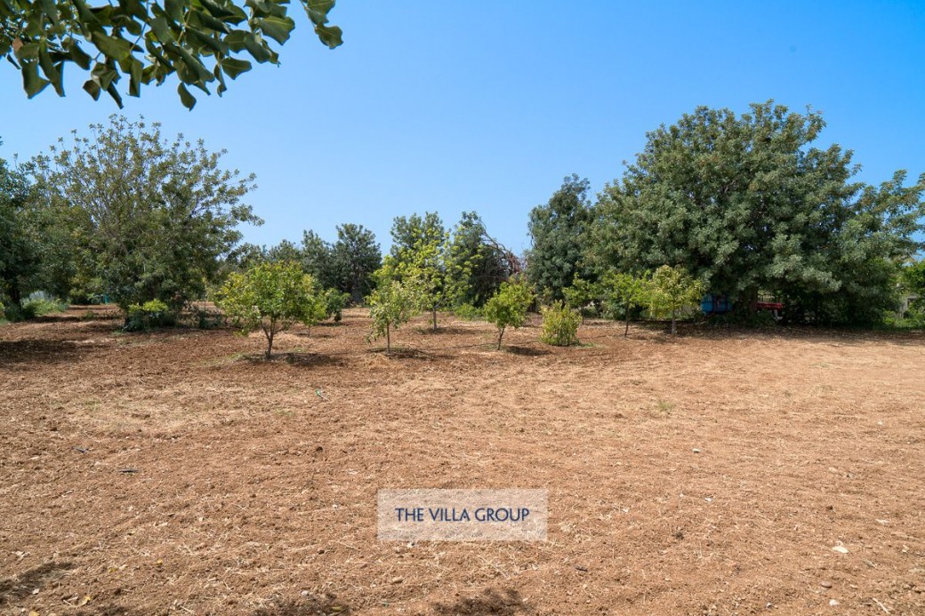 The outdoor area provides extensive gardens, trees and fruit trees