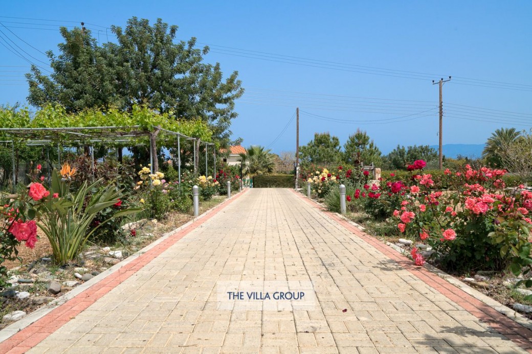 Driveway