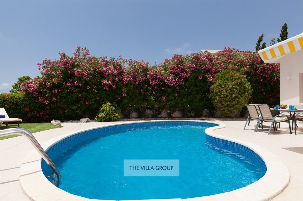 Kidney shaped swimming pool