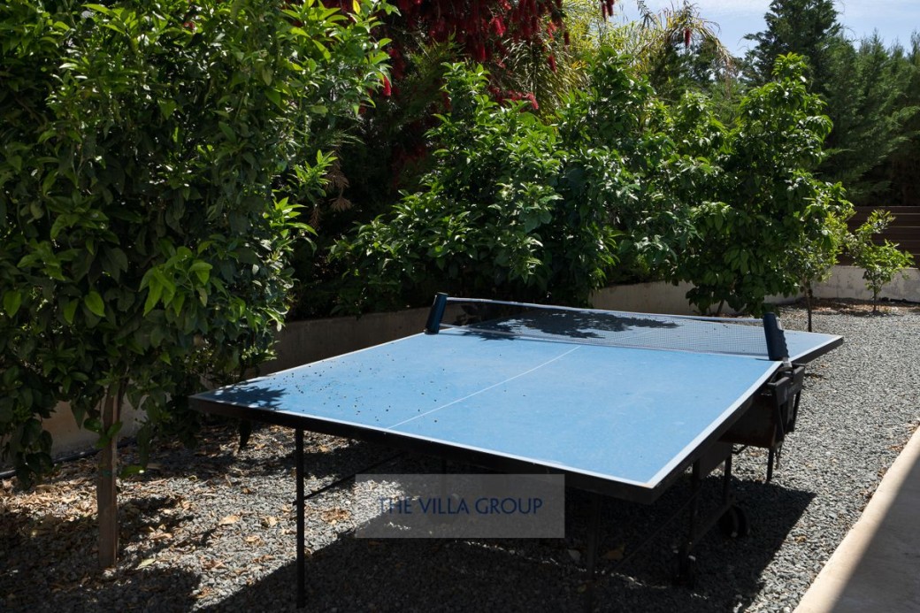 Table tennis