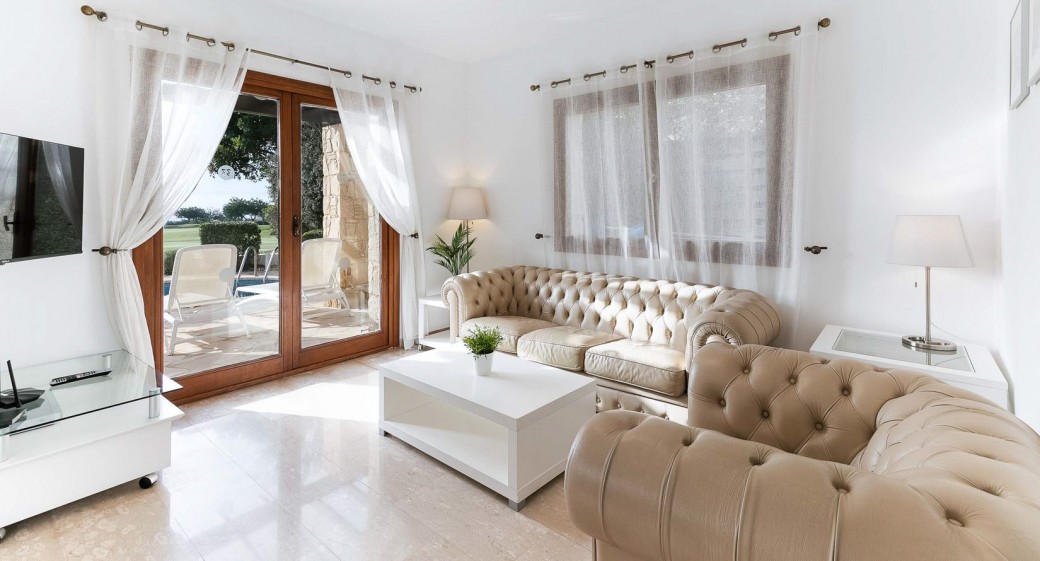 Living area with leather sofas
