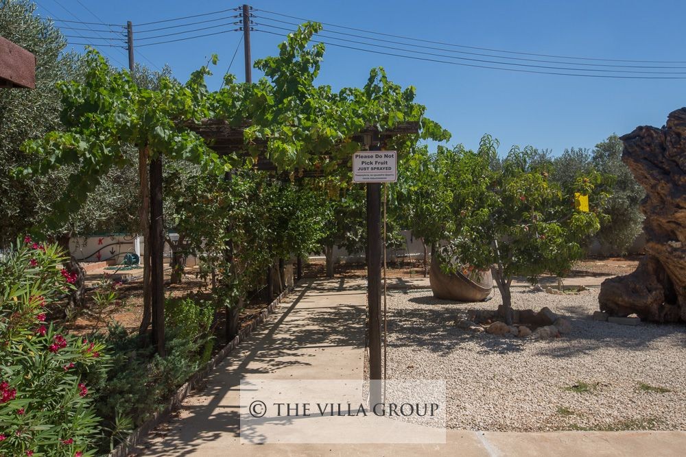 Large Mediterranean gardens surrounding the villa