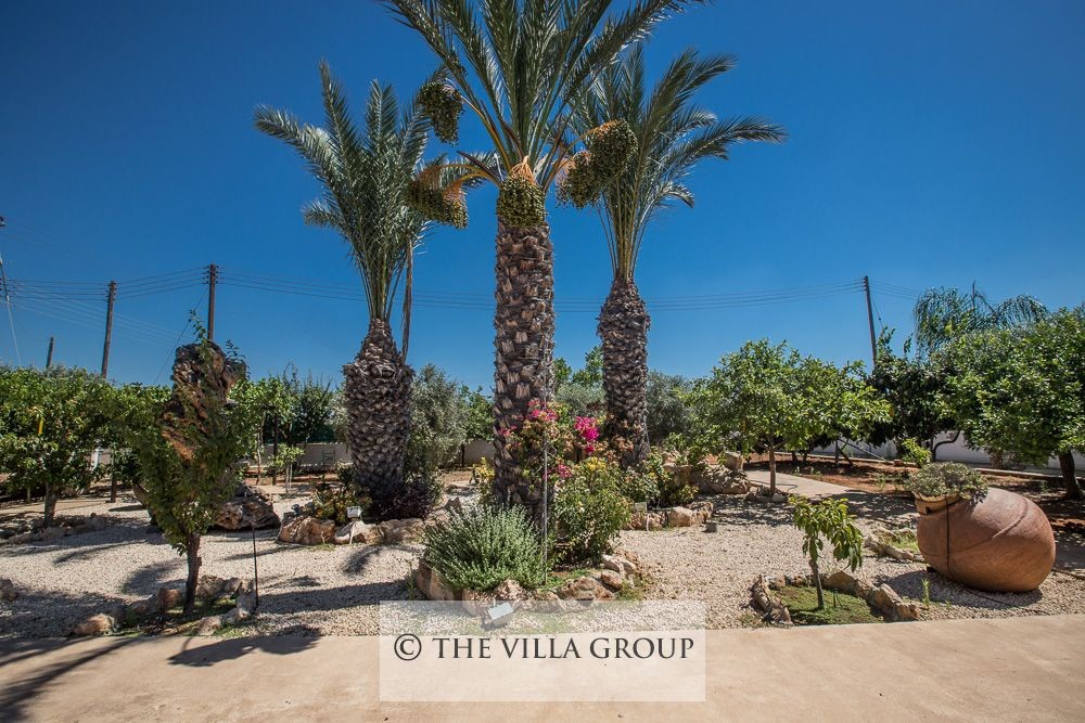 Large Mediterranean gardens surrounding the villa