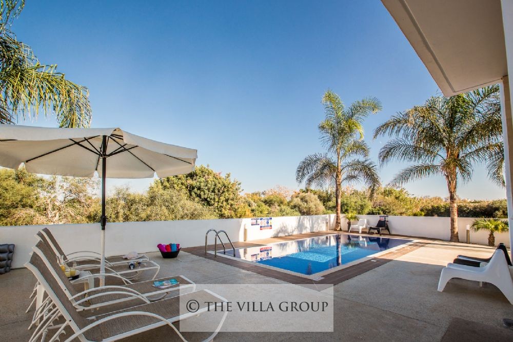 Swimming pool area surrounded by greenery