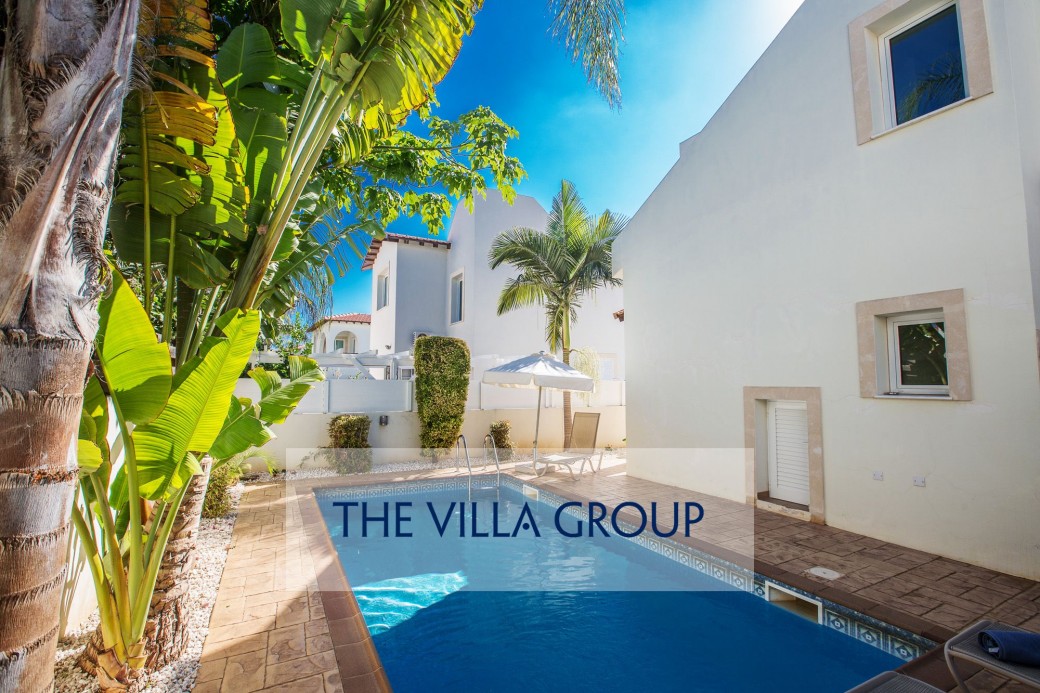 Palm trees by the swimming pool