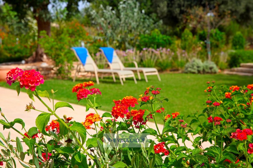 Beautifully planted garden