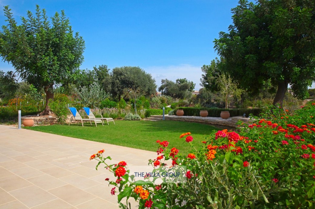 Lawn area