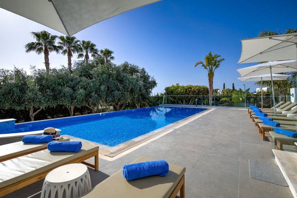 Swimming pool features walk in steps