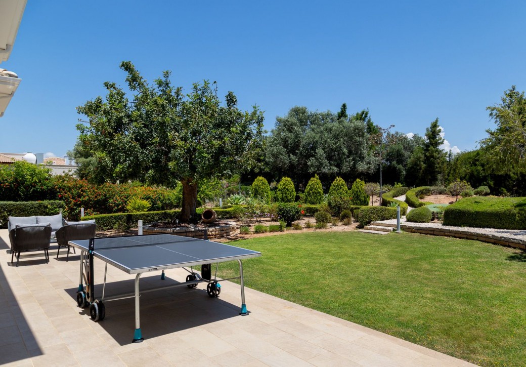 Table tennis for hours of entertainment