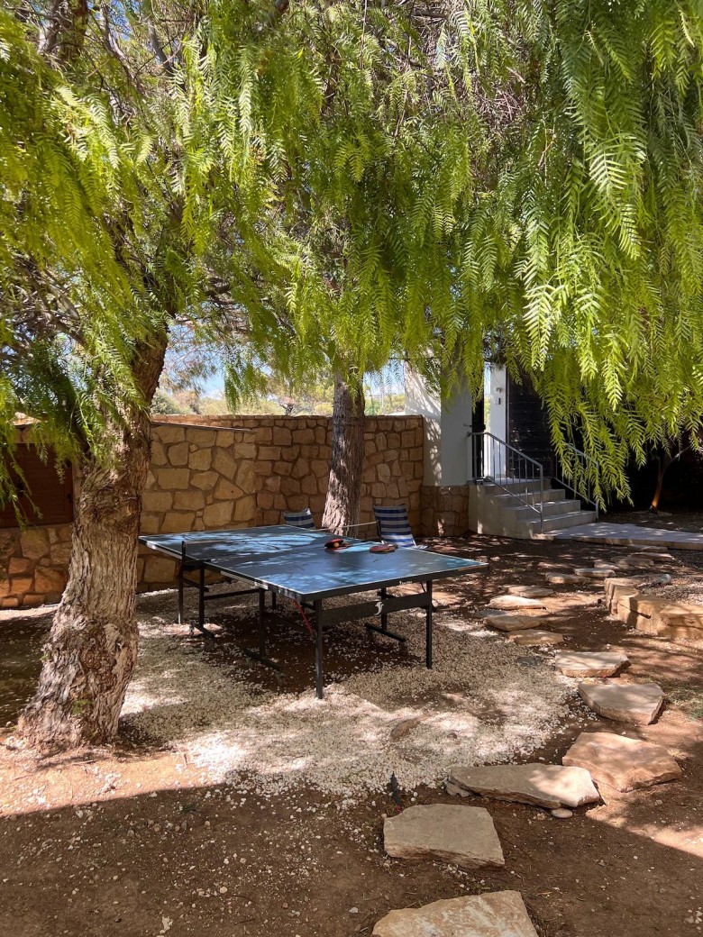 Table tennis